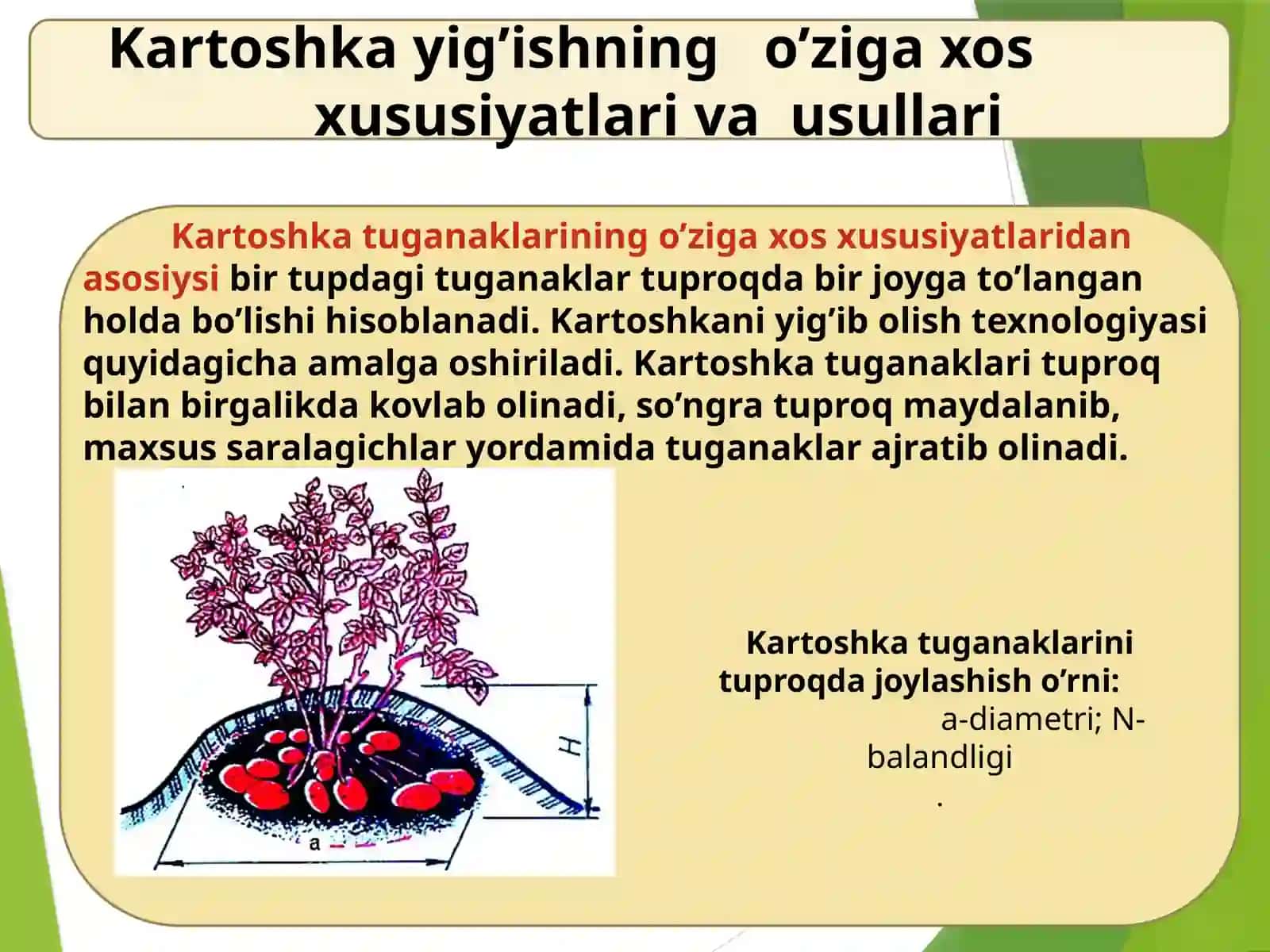 Kartoshka va meva-sabzavot yig'ib olish mashinalari 3