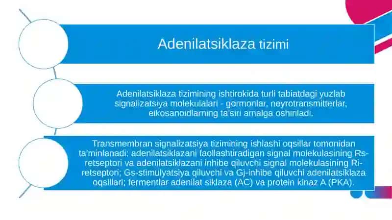 Membrananing muhim xususiyatlari 3