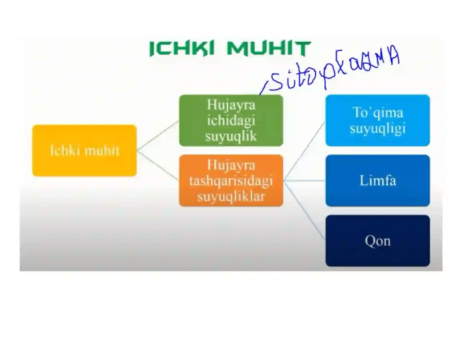 QON TOMIRLAR SISTEMASI 3