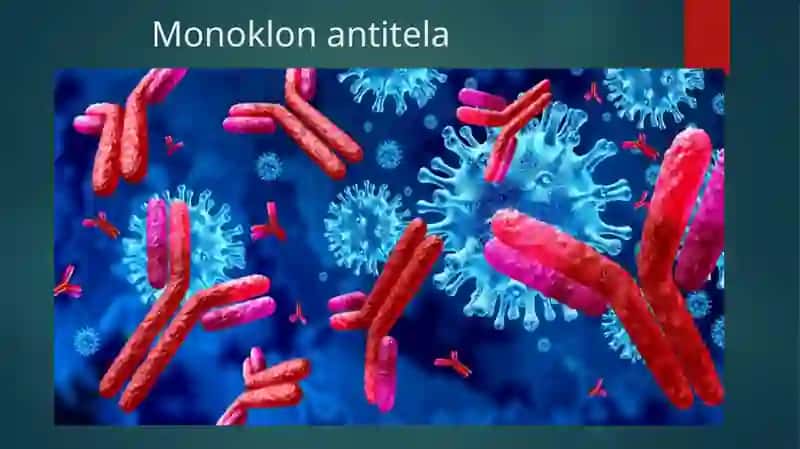 Monoklonal antitelalar,ularning olinishi ,tiplari va amaliyotda qo’llanilishi. Sitokinlar ,interferon. Sintezlanishi,ta’sir mexanizmi 3