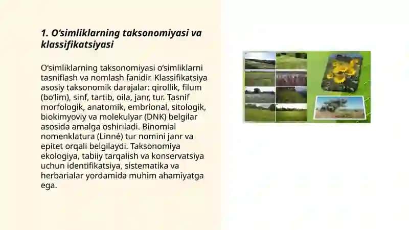 O‘simlik turkumlari va ularning tabiiy joylashishlari 3