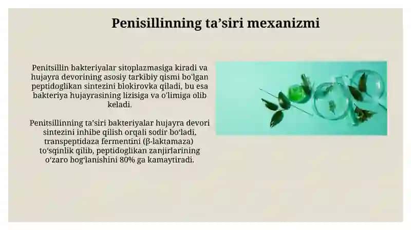 Tabiiy birikmalarning dori sifatida ishlab chiqarilishi (penitsillin, streptomitsin) 3