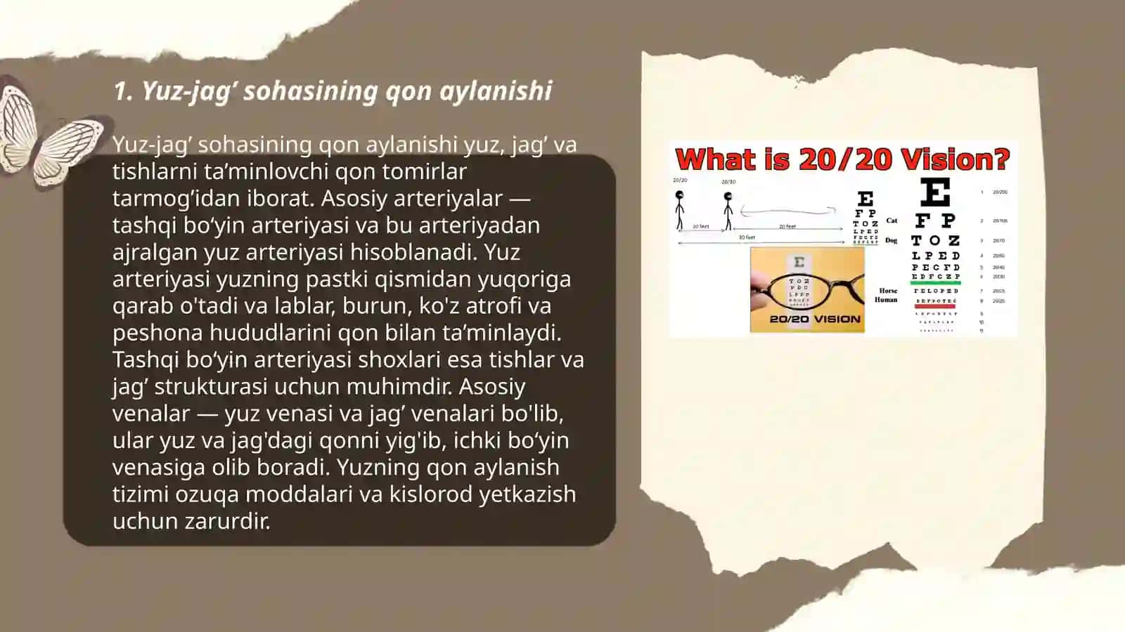 Yuz-jag’ sohasining qon bilan ta’minlanishi va uning fiziologik ahamiyati 3