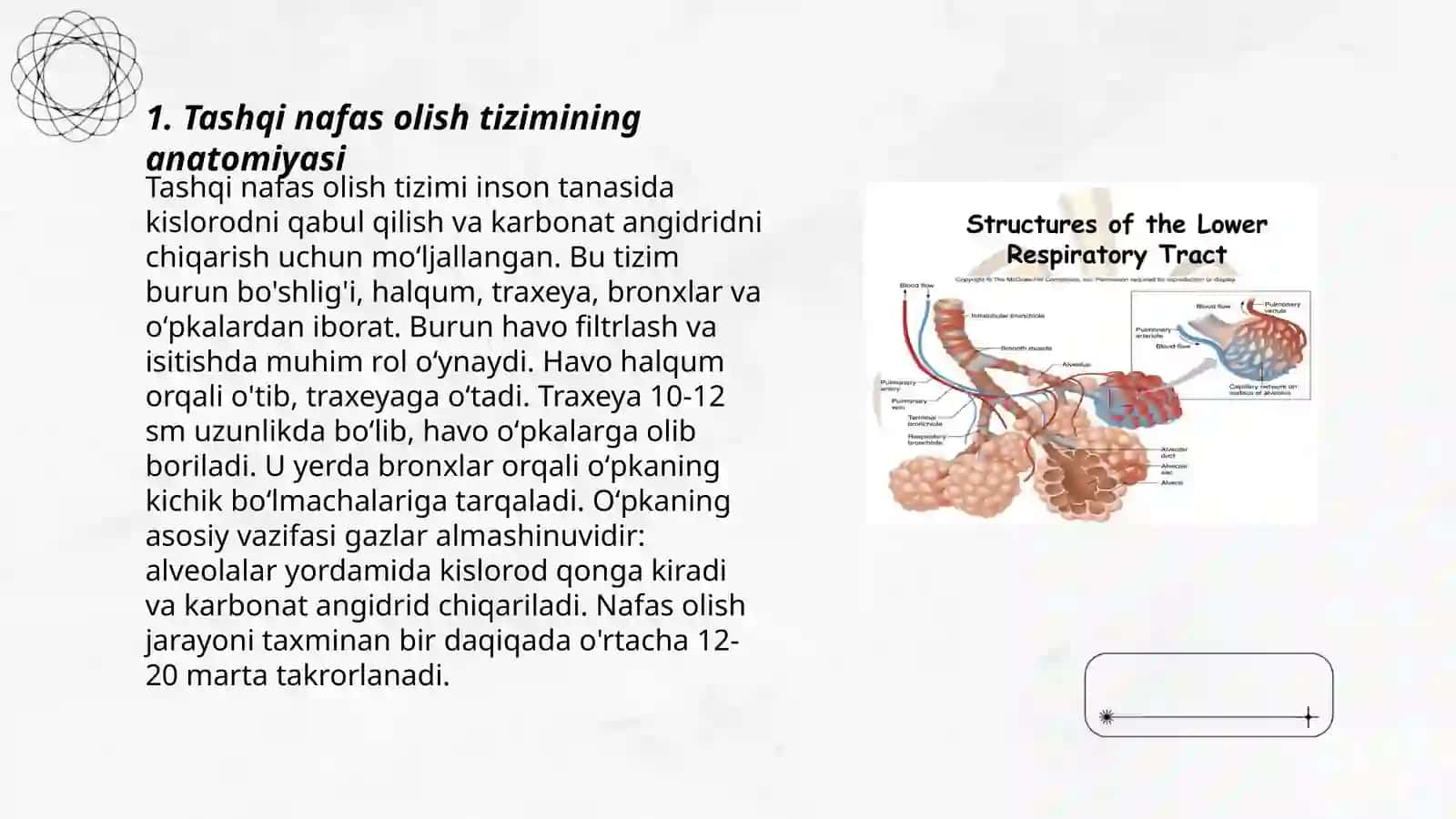 Tashqi nafas funksiyalari. Spirometriya 3