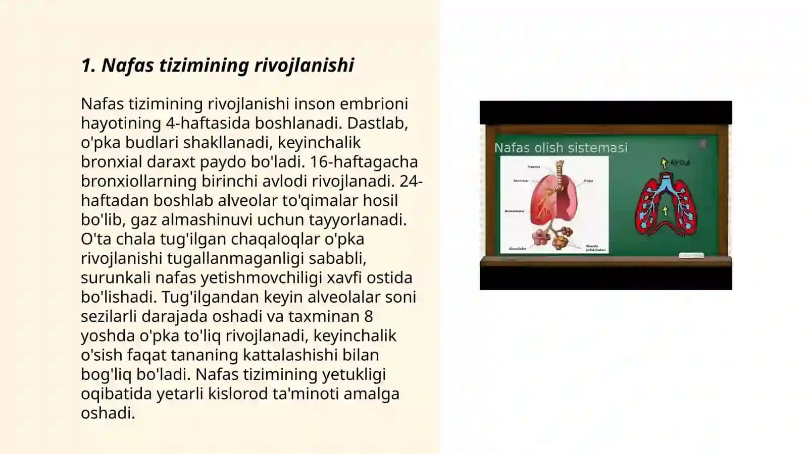 Nafas tizimining yosh xususiyati va gigienasi 3