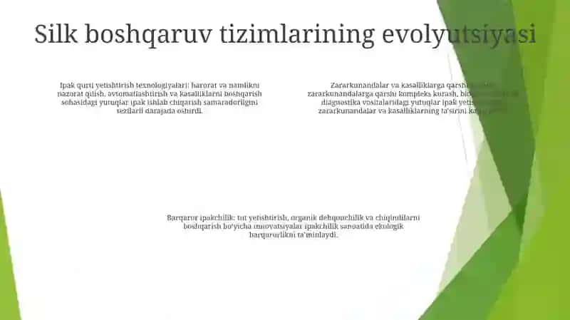 Ipakchilikda Menjment Tizimi 3