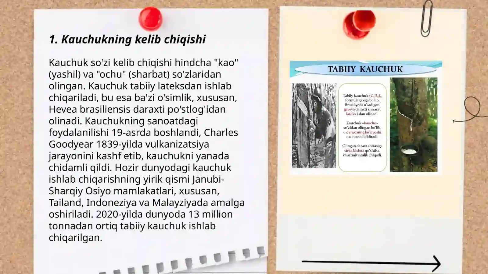 Kauchukning kelib chiqishi 3