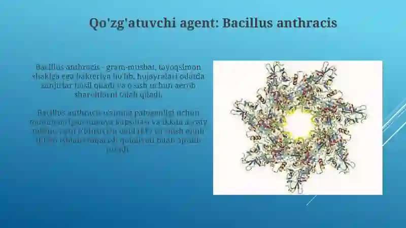 Bezgak kasalligini go'zg'atuvchisi, epidemiologiyasi, patogenezi, davolash va oldini olish 3