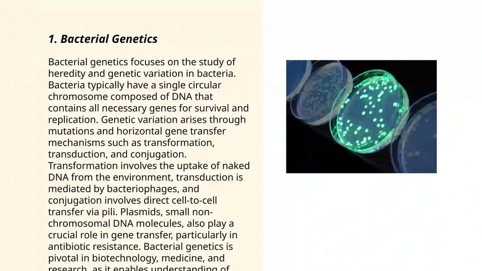 Microbiology 3