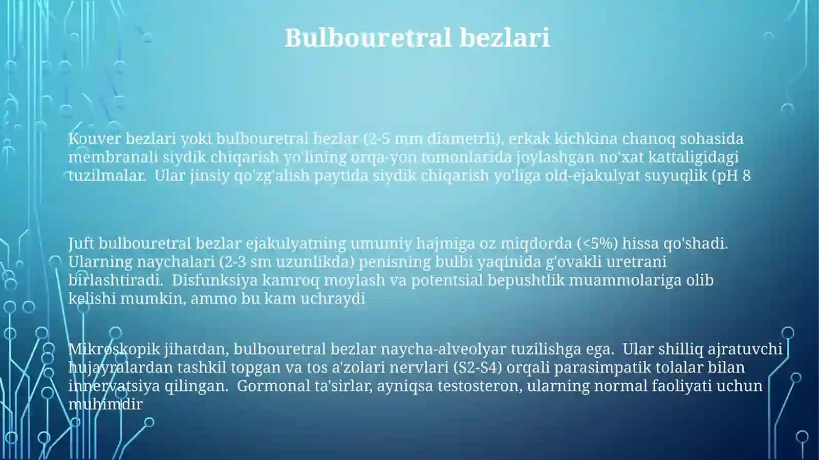 Erkaklarjinsiytizimi 3