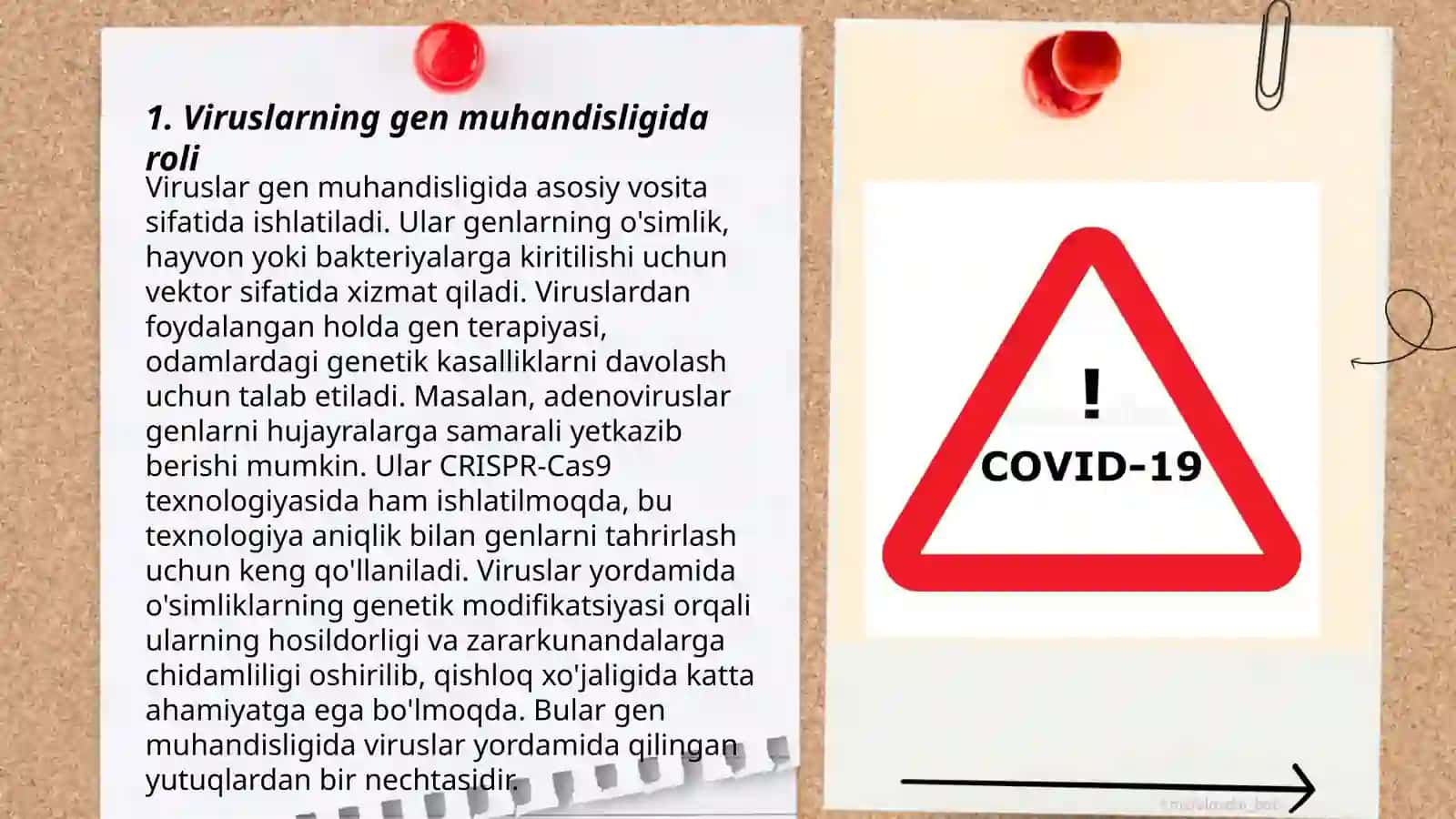 Viruslarning gen injeneriyasida qo'llanilishi 3