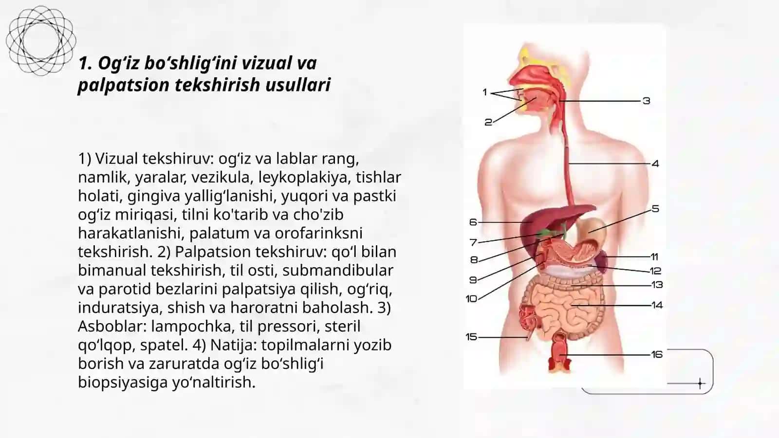 Hazm tizimining faoliyatini oʻrganish usullari 3
