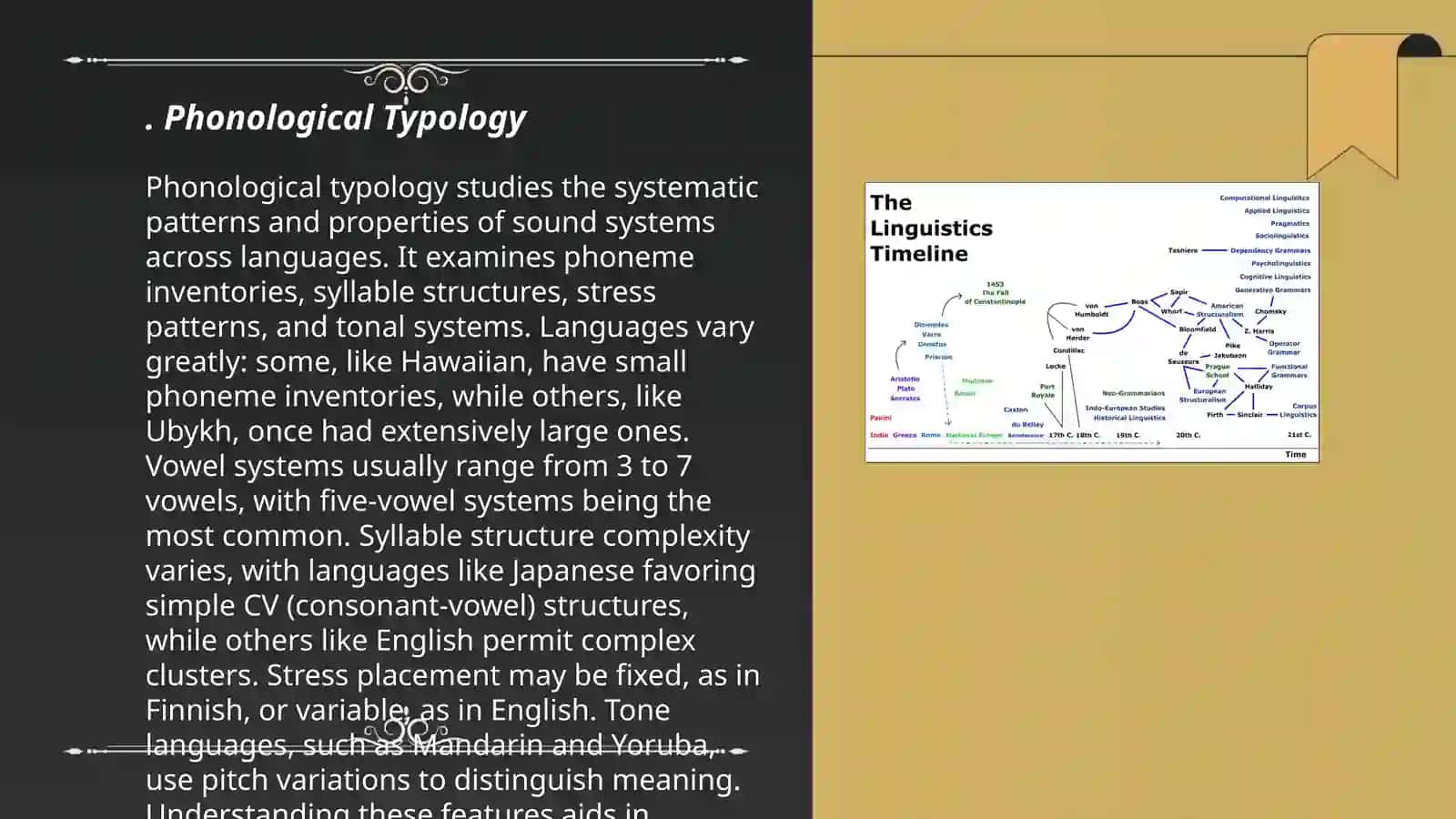 Phonological Typology 3