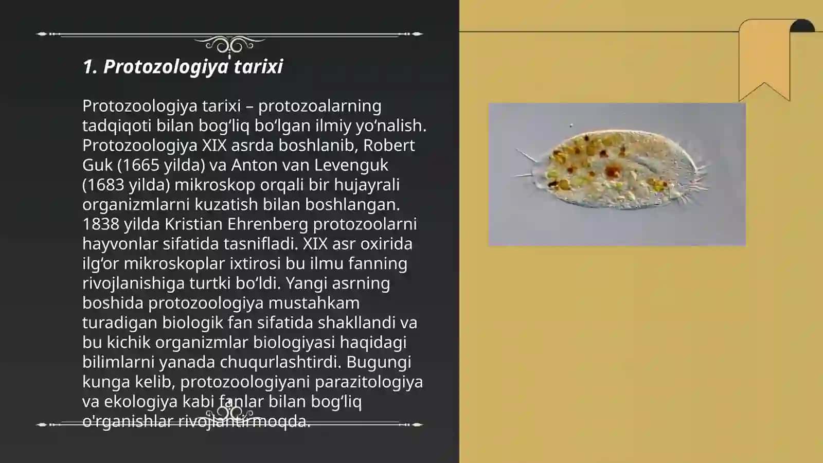 Protozologiya 3