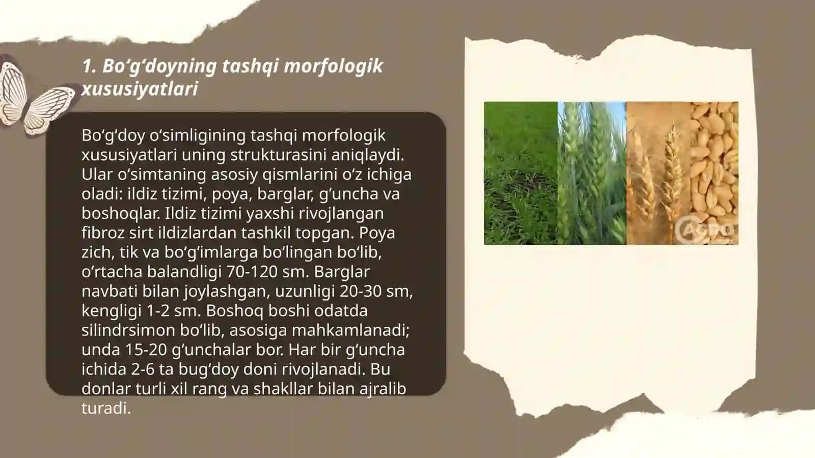 Biologiya turlari 3