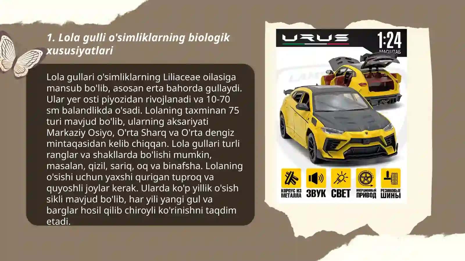 Lola gulli o'simliklarning biologik xususiyatlari 3