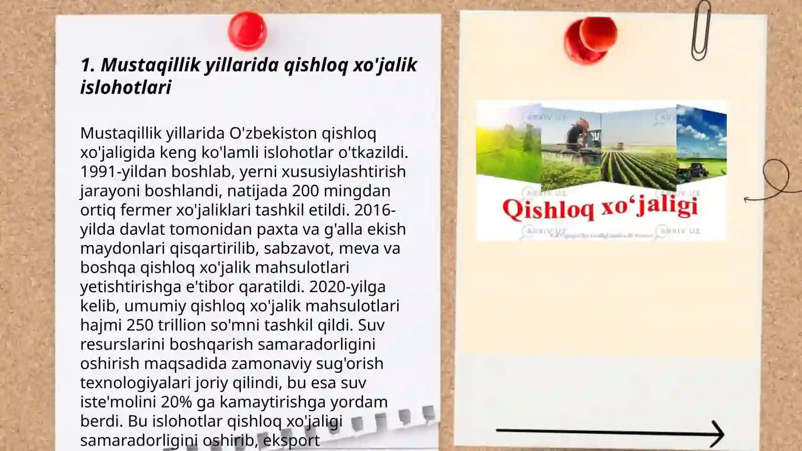 Mustaqillik yillarida qishloq xo'jalik islohotlari 3