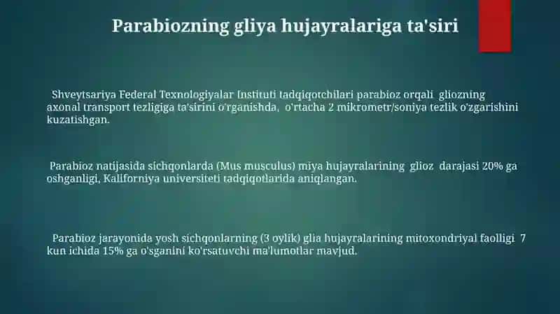Parabioz holati glaial hujayralaringing funksialari 3