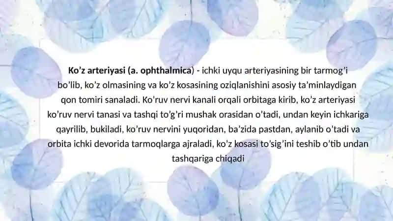 Ko'z olmasi va uning yordamchi a'zolarning qon bilan ta'minlanishi 3