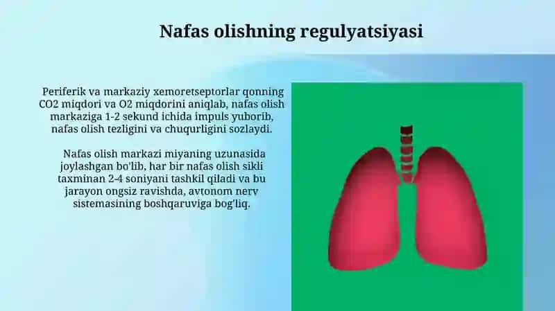 Nafas olish sistemasining fizikasi 3