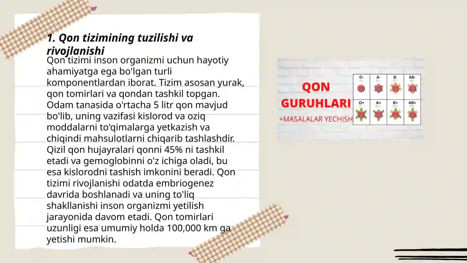 Qon tizimining yoshga doir fiziologiyasi va gigiyenasi 3