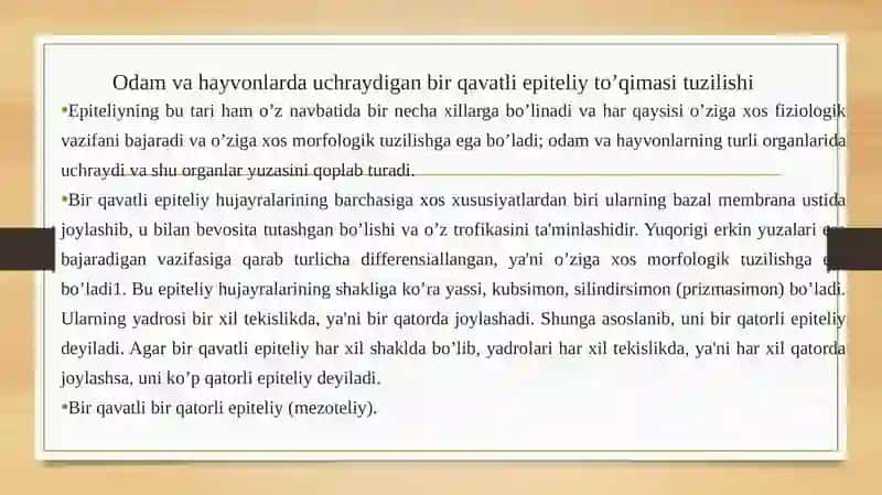 Birqavatliepiteliy 3