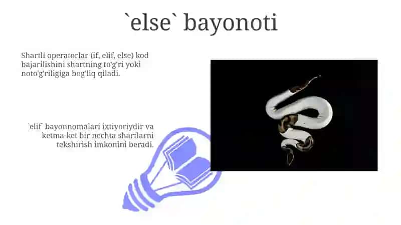 Python dasturlash tilida shart operatorlari 3