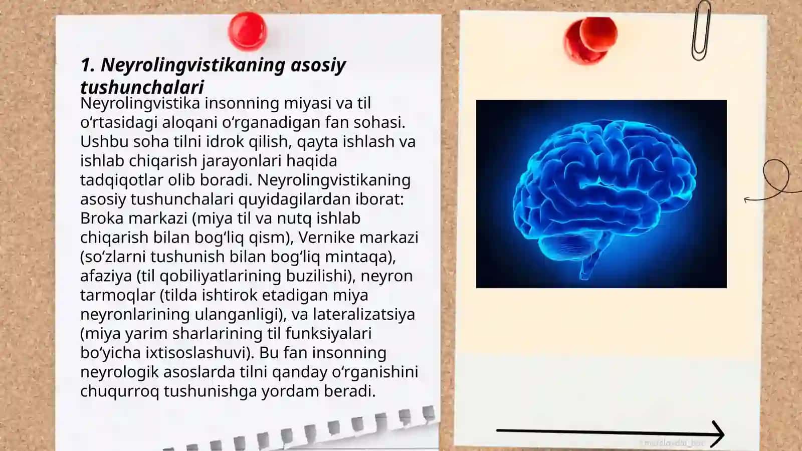 Neyrolingvistika 3