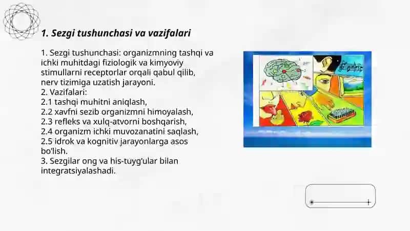 Inson sezgilari haqida umumiy tushuncha 3