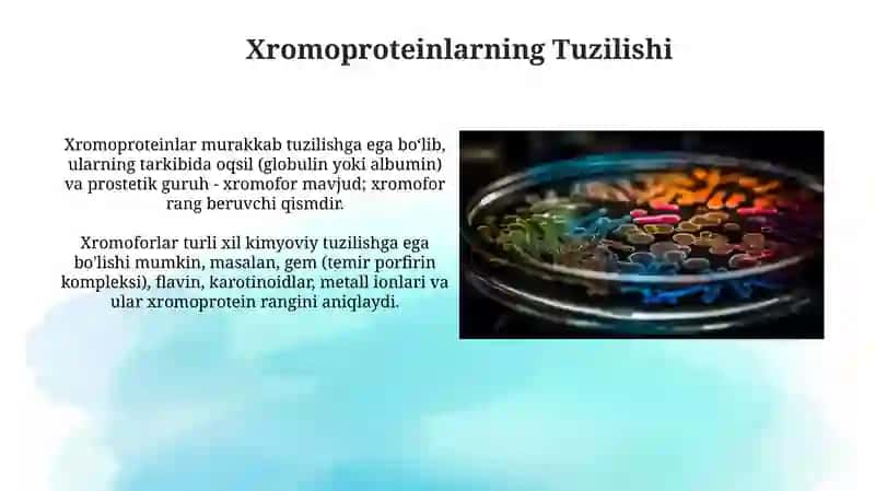 Xromoproteinlar 3