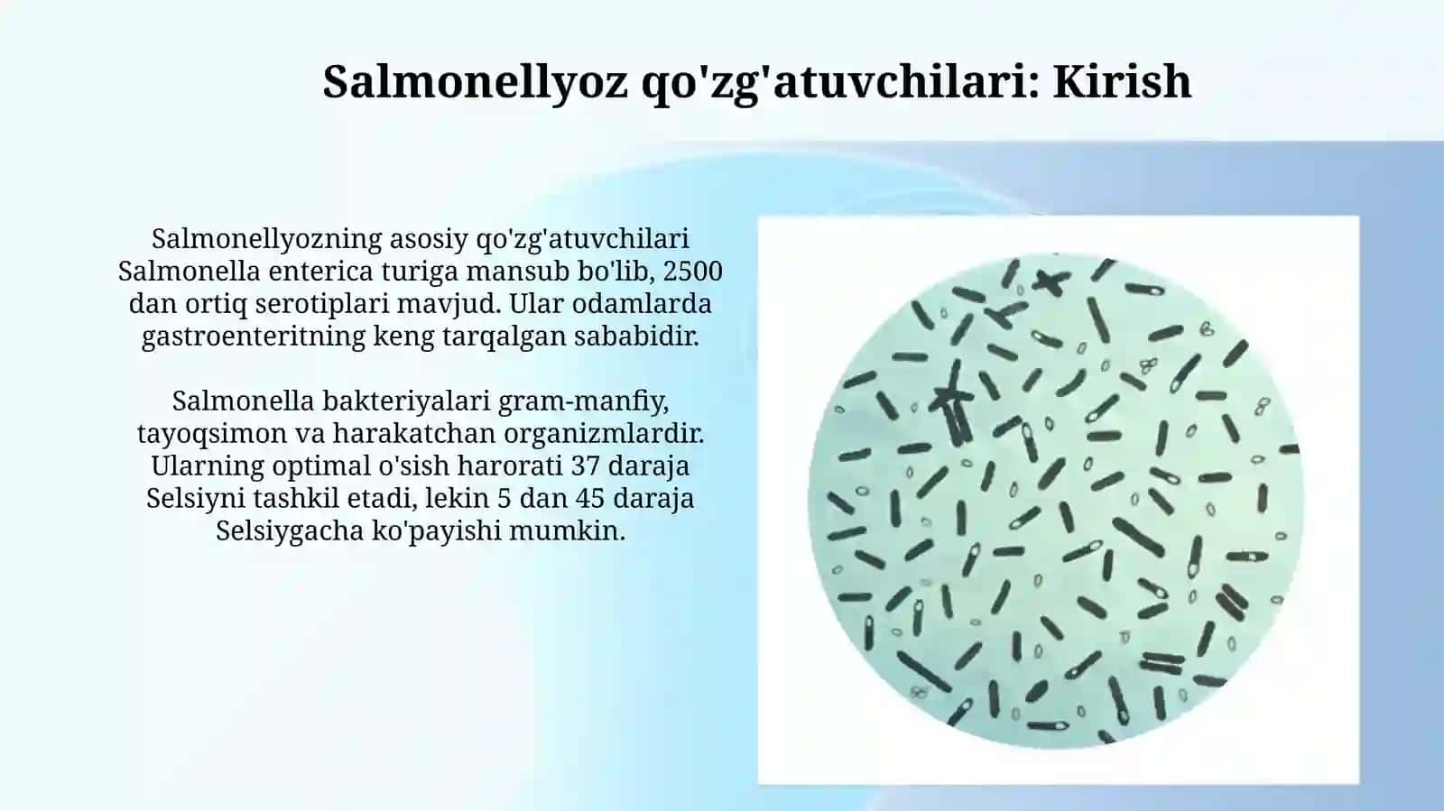 Salmonella bilan Botulizm kuzgatuvchilari xaqida 3