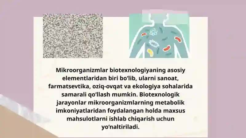 Mikroorganizmlar asosida biotexnologik jarayonlar yaratish usullari 3