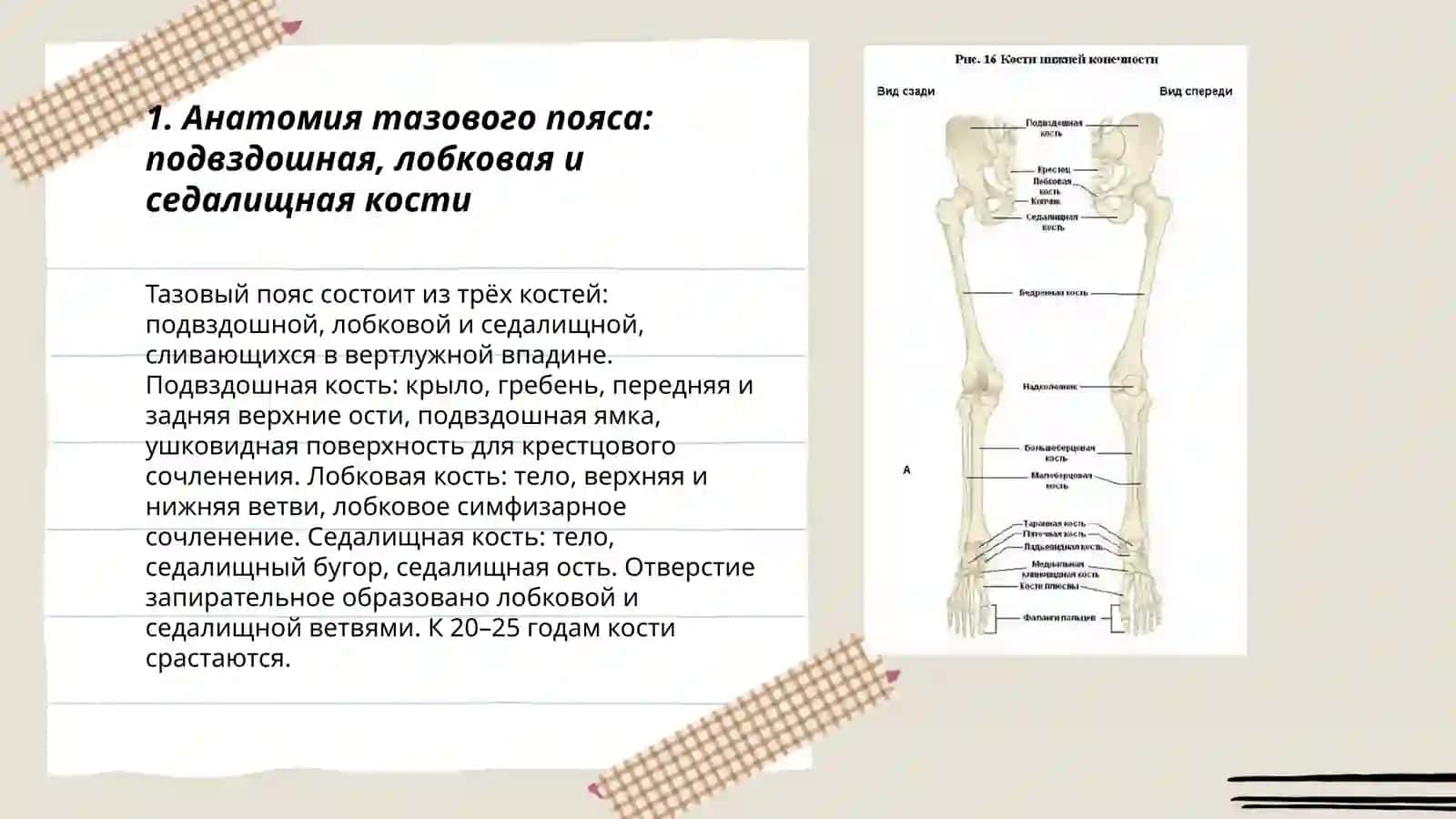 Утепбергенов МухамедАли 3
