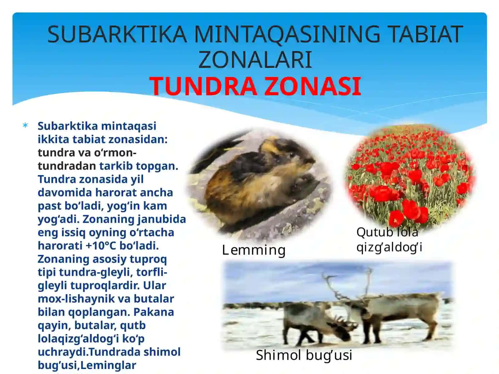 Arktika mintaqasining tabiat zonalari 3