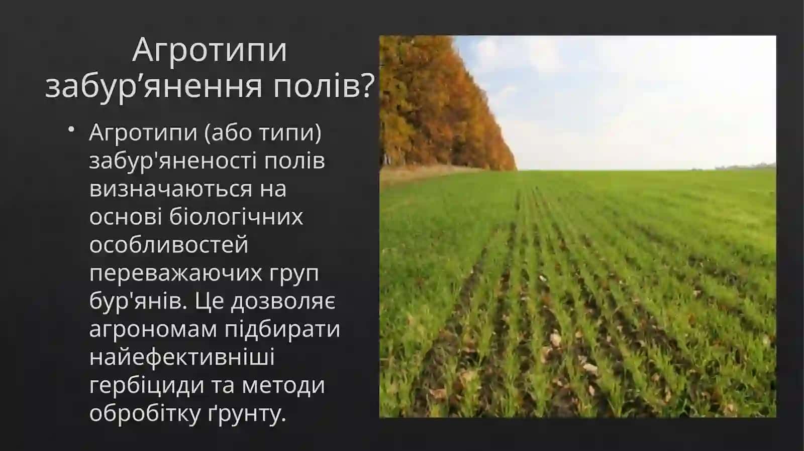 Агротипизабур’яненняполів 3