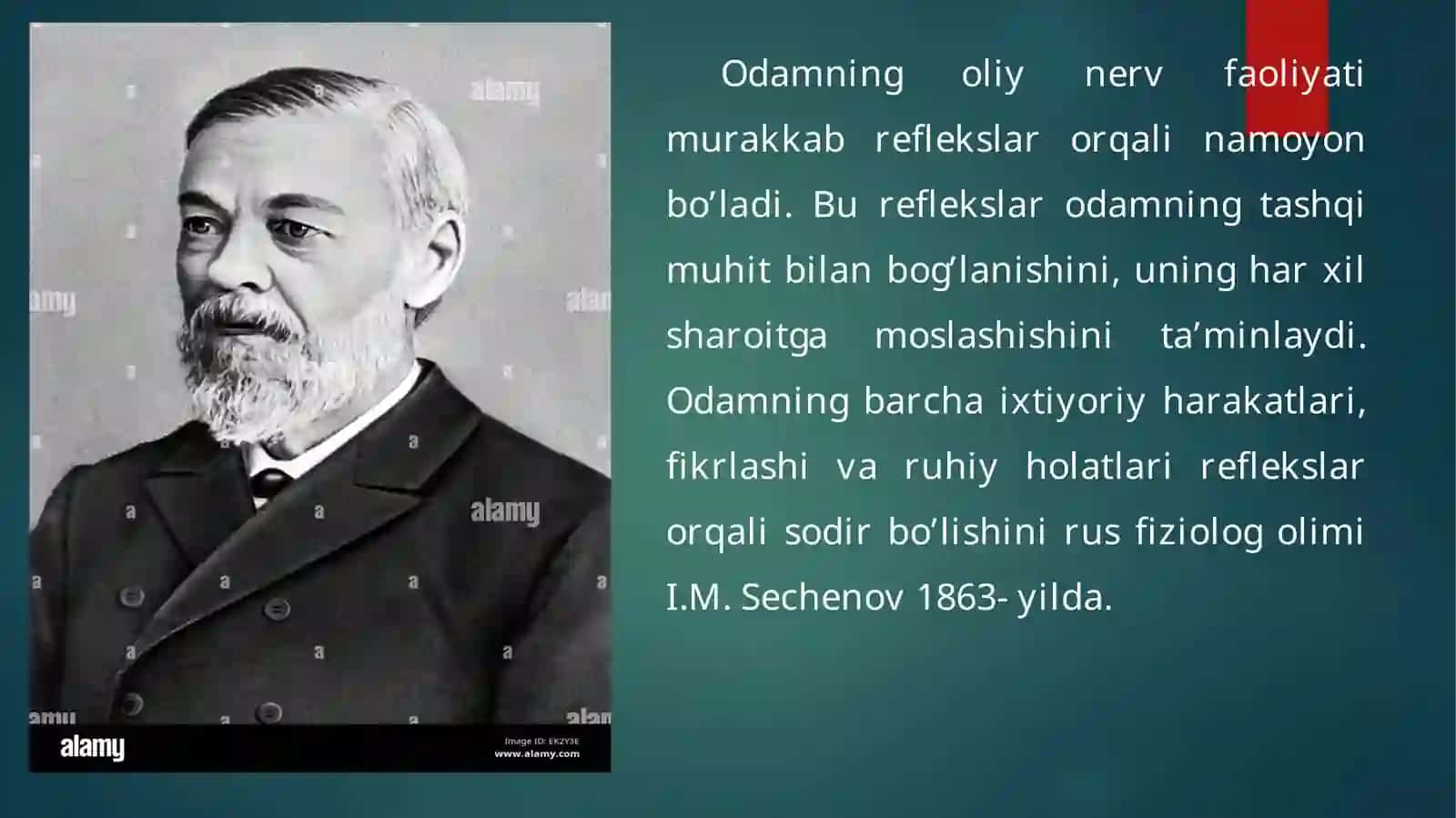 Odamning barcha ixtiyoriy harakatlari 3