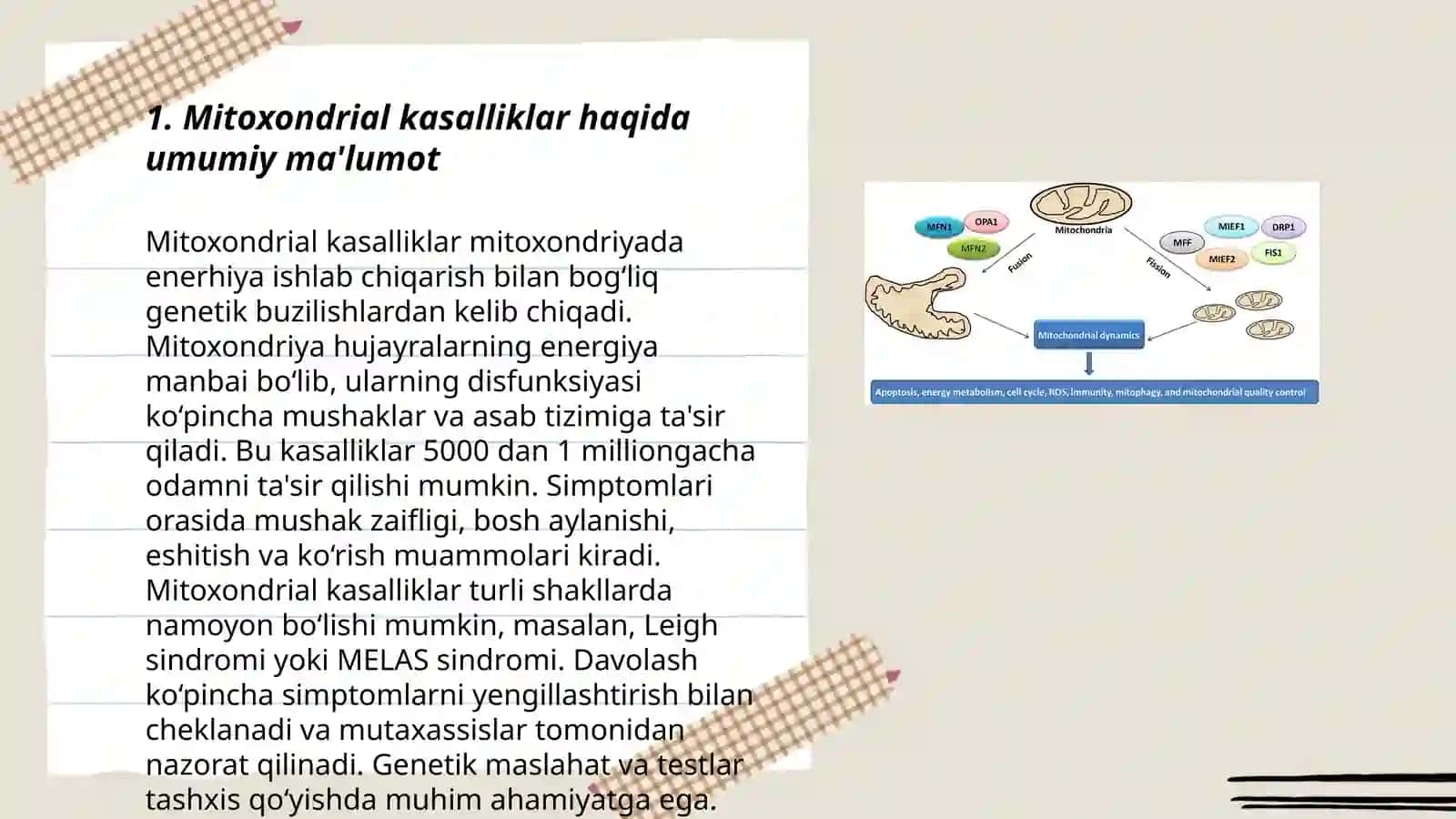 Mitoxondrial kasalliklar 3