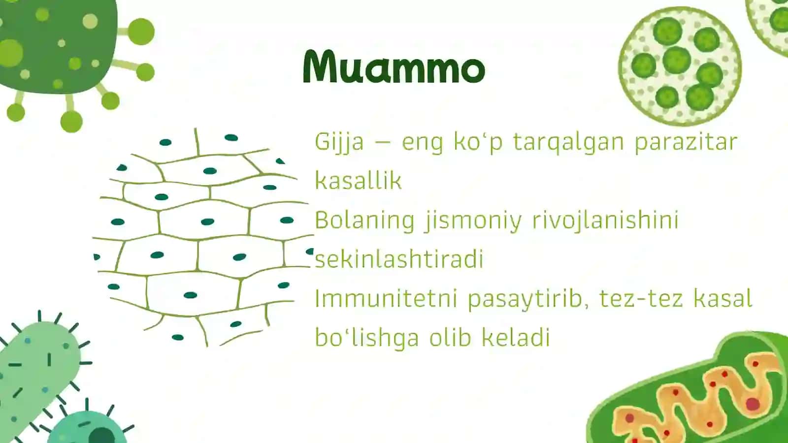 Bolalarda gijjalar 3