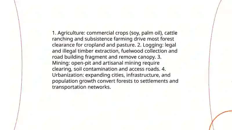 Deforestation 3