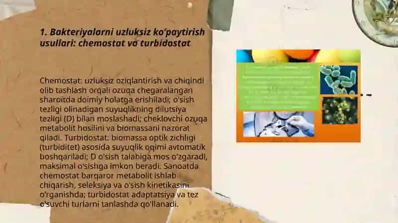 Bakteriyalarni uzluksiz koʻpayishi va ularni sanoatdagi ahamiyati 3