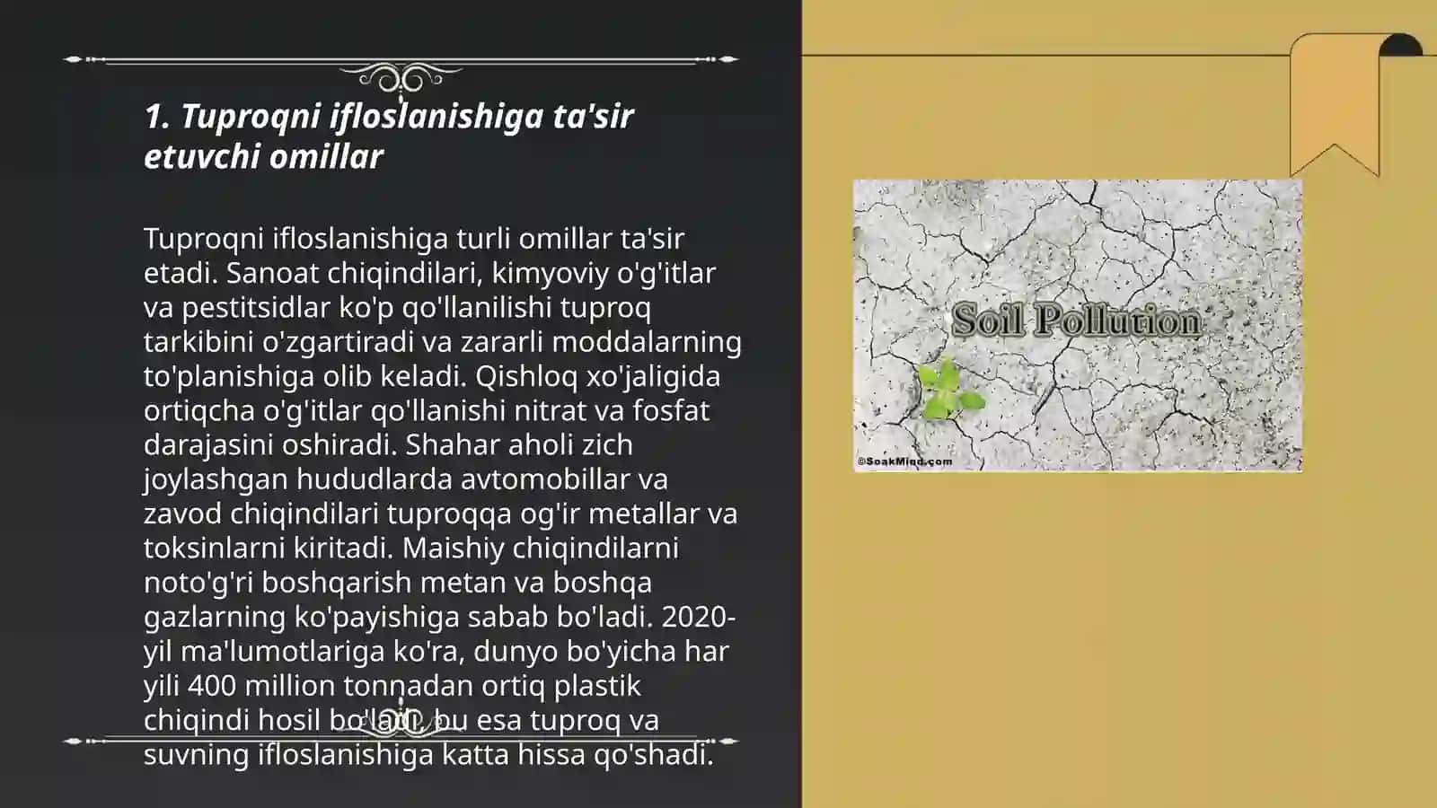 Tuproqning ifloslanishi va muhofazasi 3