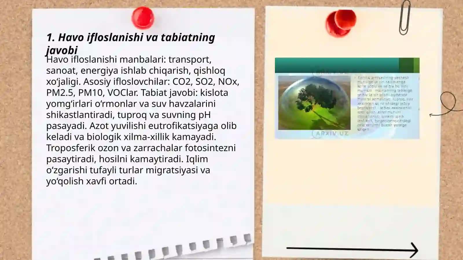 11-B sinf o'quvchilari Biologiya fanidan loyiha ishi 3