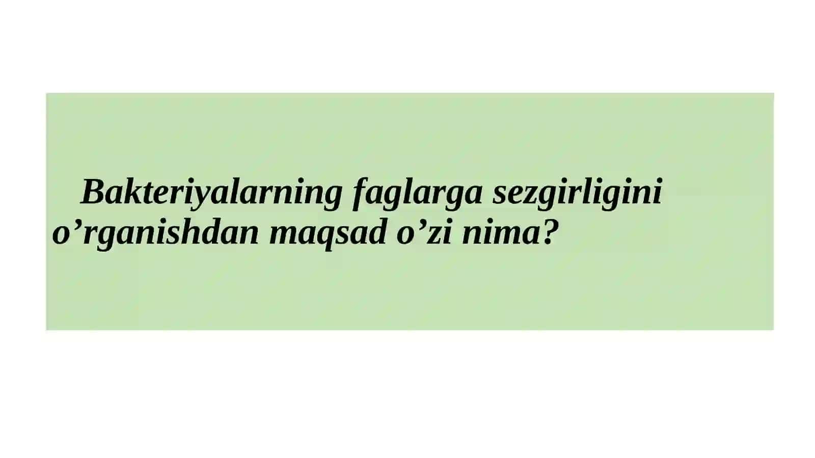 Bakteriyalarning faglarga sezgirligini o’rganish 3