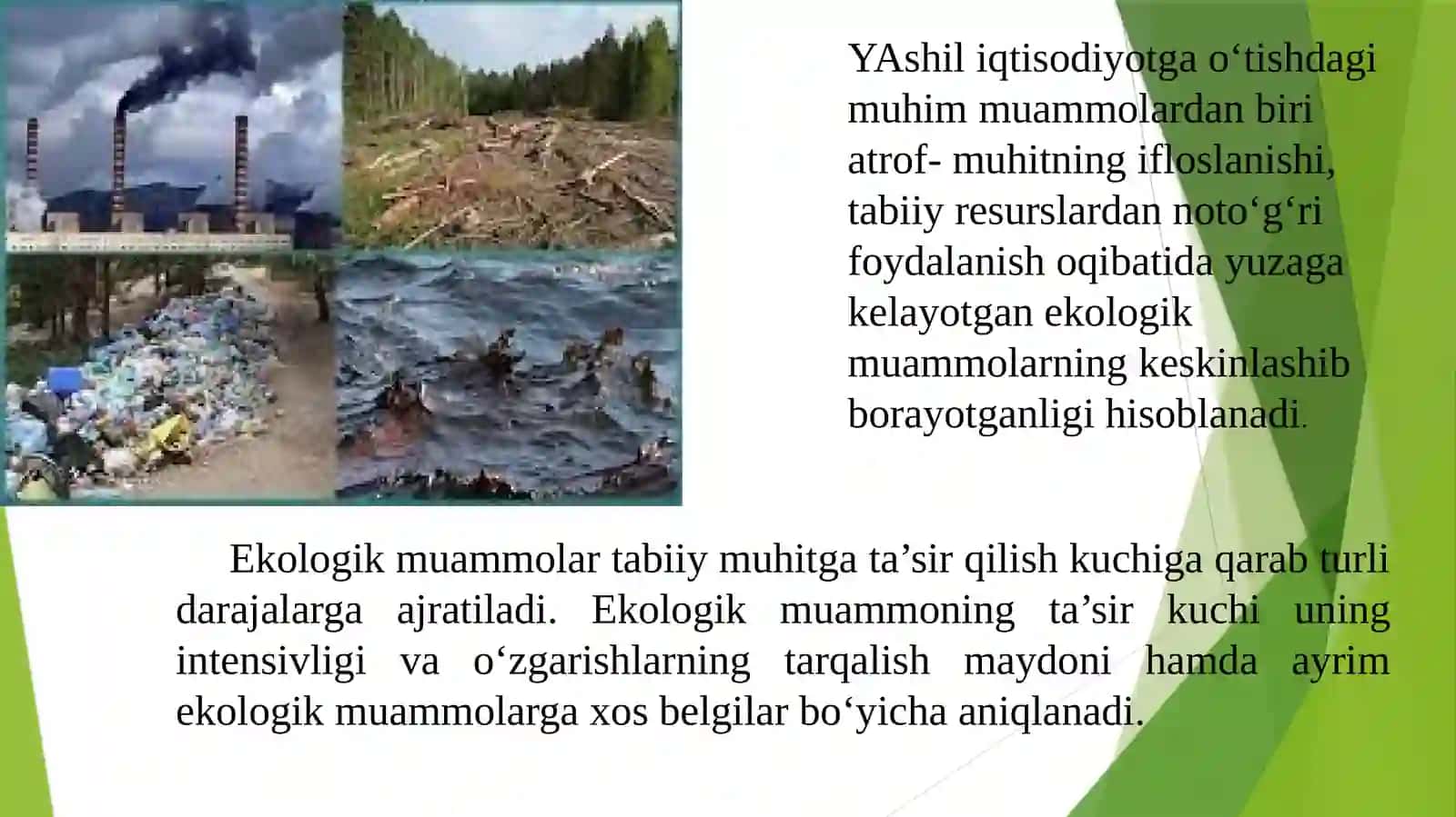 EKOLOGIK SIYOSAT VA UNI AMALGA OSHIRISHNING IQTISODIYMEXANIZMI 3