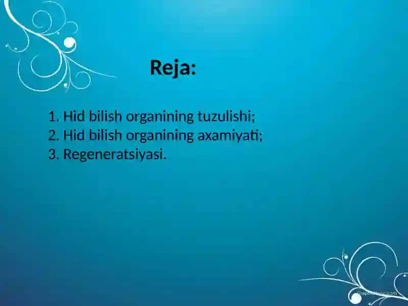 HID BILISH ORGANINING TUZULISHI VA REGENERATSIYASI 3