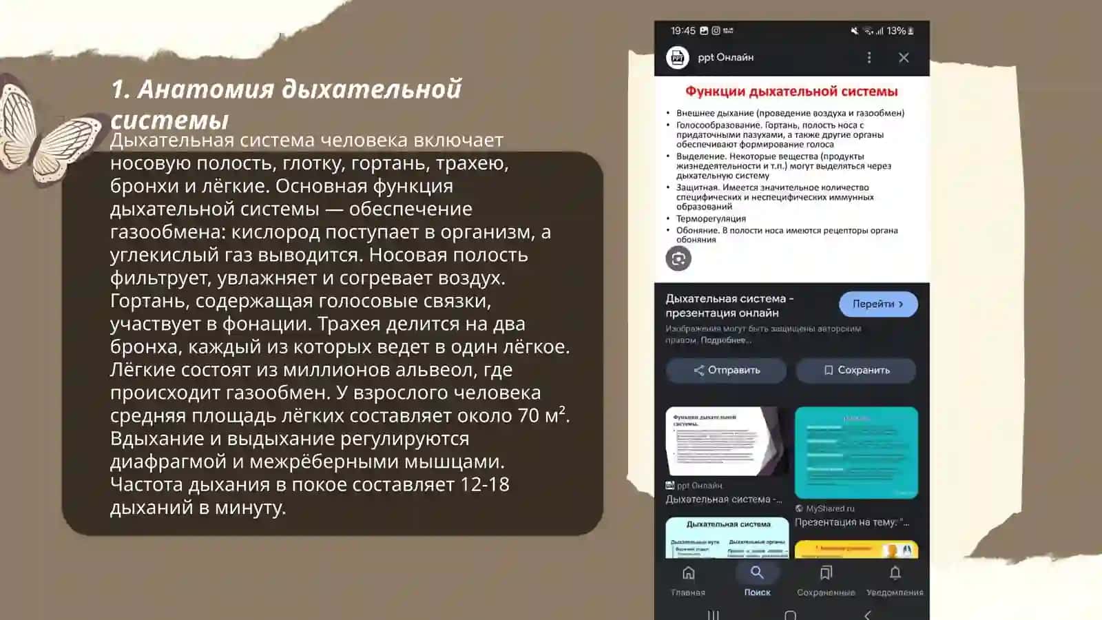 Дихателны функся 3