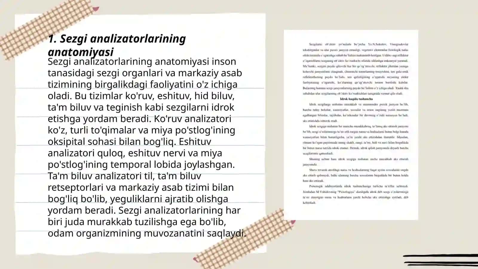 Sezgining reseptor va reflektor nazariyasi haqida Sezgi analizatorlari 3