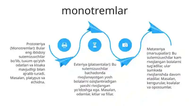 Sutemizuvchilarning Umumiy Tasnifi 3