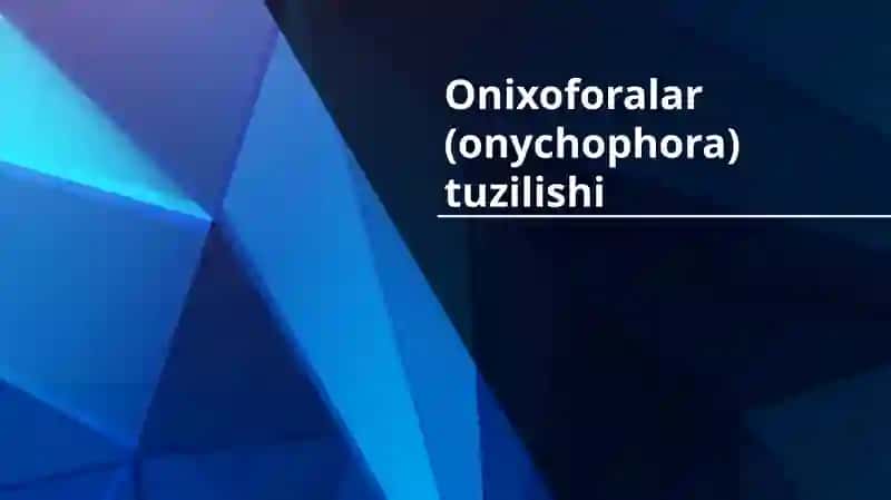 Imillab yuruvchilar (Tardigrada) va  Onixoforalar (onychophora)sinflari (Pycnogonida) dengiz oʻrgimchaklari sinfi 3