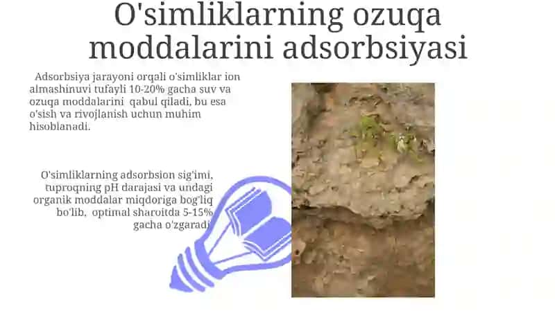 Adsorbsiya jarayoni: ta'rif va turlari 3